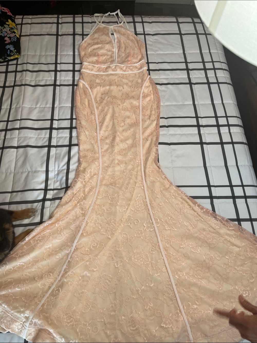 Windsor Peach Lace Halter Mermaid Gown